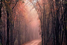 泛亚体育：2023年度全国打击侵权盗版十大案件发布.