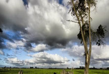 范霍伊东克：没人料到费耶诺德能赢，那个白痴特奥帮了我们.