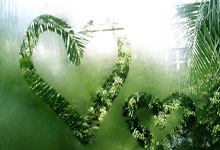 德國盃｜紐亞生涯首面紅牌累卡尼在拜仁繼續無冠　16強負利華古遜.