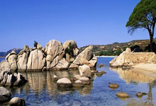 美众议员称特朗普政府将取消对近东救济工程处的资助.